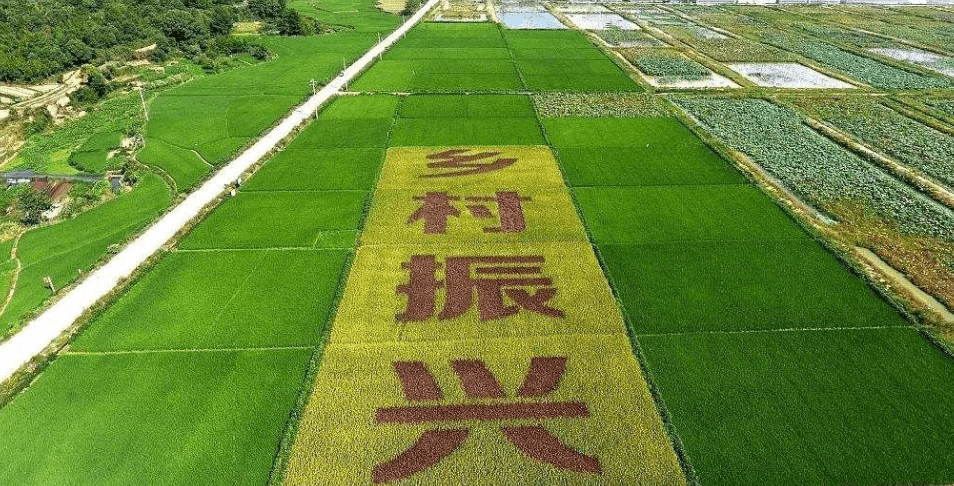 人民日報“鄉(xiāng)村振興計劃”為何看上他？_直播_行業(yè)_農(nóng)產(chǎn)品